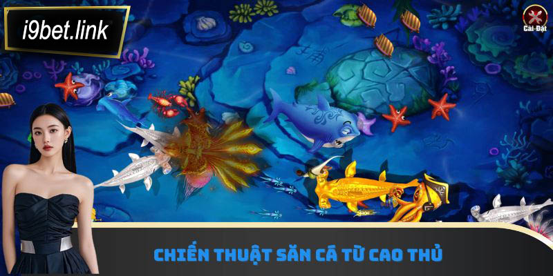 Chiến thuật săn cá từ cao thủ