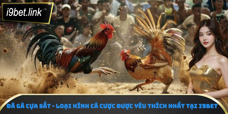 Đá gà cựa sắt - loại hình cá cược được yêu thích nhất tại i9Bet
