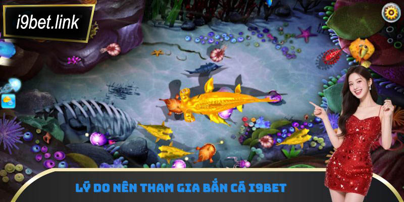 Lý do nên tham gia bắn cá i9Bet