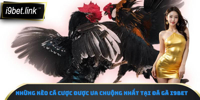 Những kèo cá cược được ưa chuộng nhất tại đá gà i9Bet
