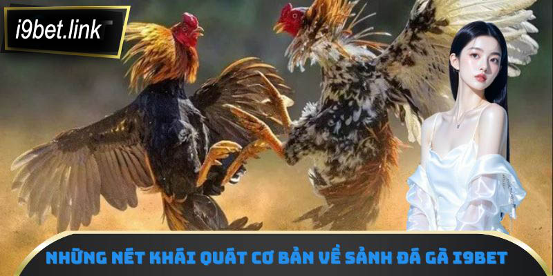 Những nét khái quát cơ bản về sảnh đá gà i9Bet